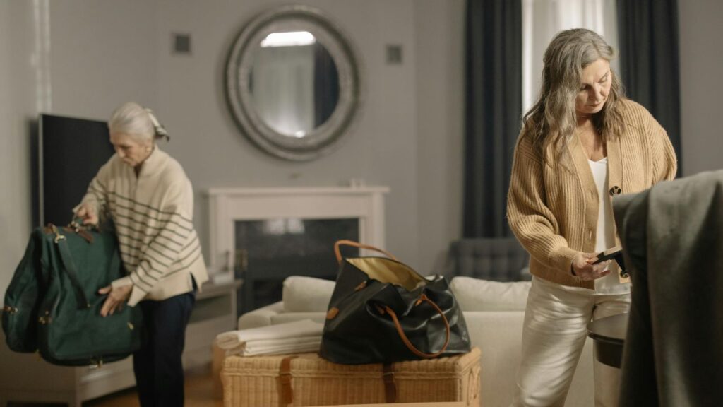 Strategic Organization Systems Using Project Bags